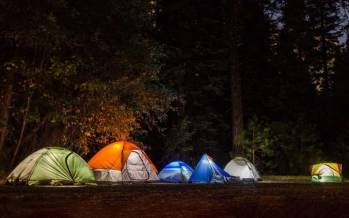 ممنوعیت اقامت شبانه گردشگران در جنگل‌های آمل,جنگل آمل