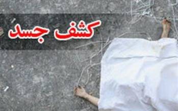 شناسایی پیکر زن پناهجوی ایرانی در بوسنی,پناهجویان ایرانی در بوسنی