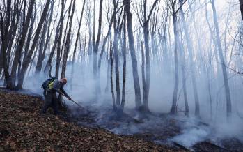 آتش گرفتن جنگل های شمال,برخورد امنیتی با آتش‌سوزی در ایران