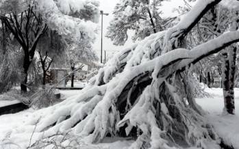 برف در صافهان,شکسته شدن درختان بر اثر برف در اصفهان