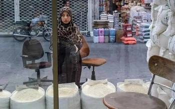 برنج,قیمت برنج