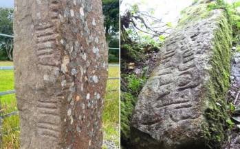 انتشار لغت‌نامه یک زبان باستانی,لغت‌نامه زبان باستانی