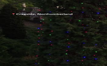 فیلم | رونمایی از بلندترین درخت کریسمس جهان