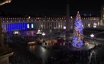 فیلم | نصب درخت کریسمس در واتیکان فیلم | نصب درخت کریسمس در واتیکان