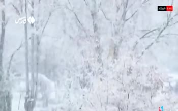 فیلم | بارش برف در شهرکرد (آذر 1404)