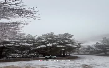 فیلم | بارش برف در کوه صفه اصفهان (آذر 1404)