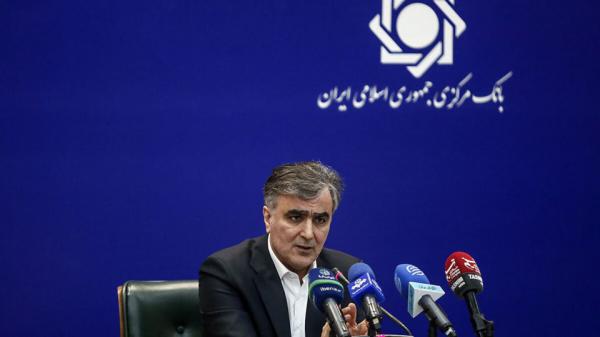 محمدرضا فرزین,رئیس سابق بانک مرکزی