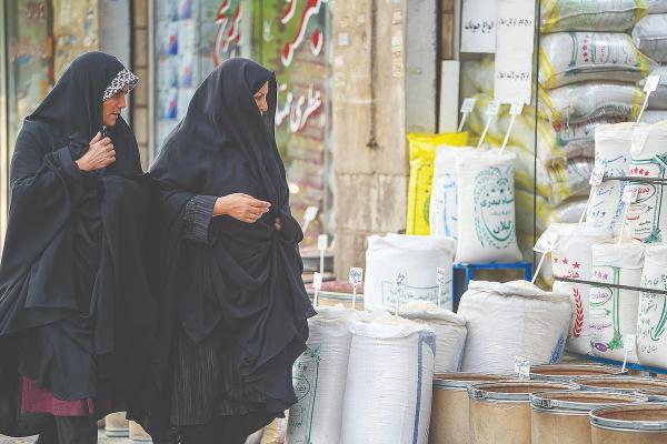 برنج,تبدیل برنج ایرانی به یک‌ کالای لاکچری در دولت پزشکیان