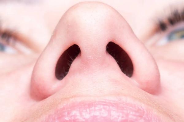 بینی,سوراخ بینی