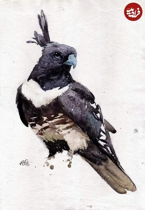 نقاشی‌های حیات وحش,زیباترین نقاشی‌های حیات وحش در سال ۲۰۲۵