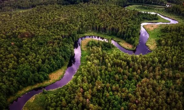 جنگل آمازون,فوق استوایی شدن جنگل آمازون