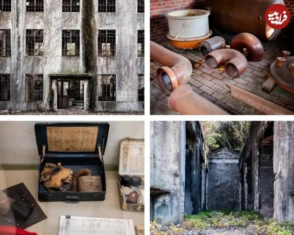 خرگوش ها در جزیرۀ متروکۀ ژاپنی,جزیره در ژاپن