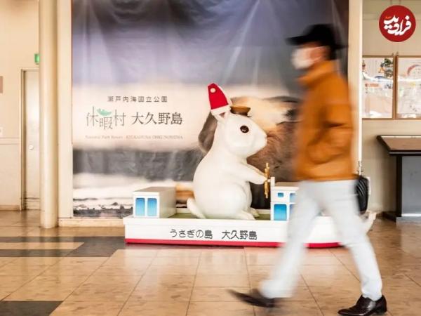 خرگوش ها در جزیرۀ متروکۀ ژاپنی,جزیره در ژاپن