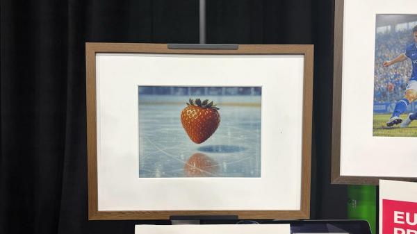 نمایشگر جوهر دیجیتال,قاب نقاشی دیجیتال