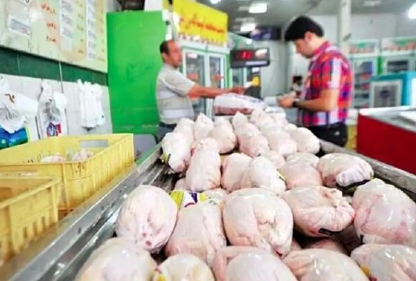 قیمت نجومی مرغ,مرغ