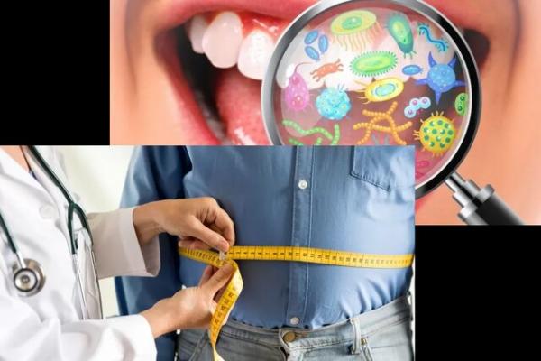 میکروبهای دهان میکروبهای دهان,پیشگیری از چاقی با میکروبهای دهان
