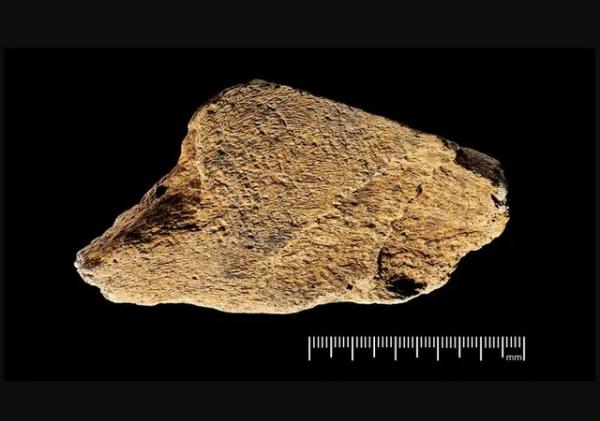 ابزار تاریخی ابزار تاریخی,ساخته شدن یک ابزار تاریخی در 500 سال پیش