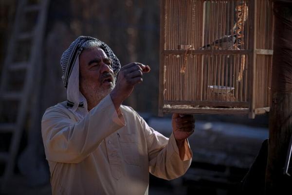 سروش صحت و سعید آقاخانی,فیلم پل