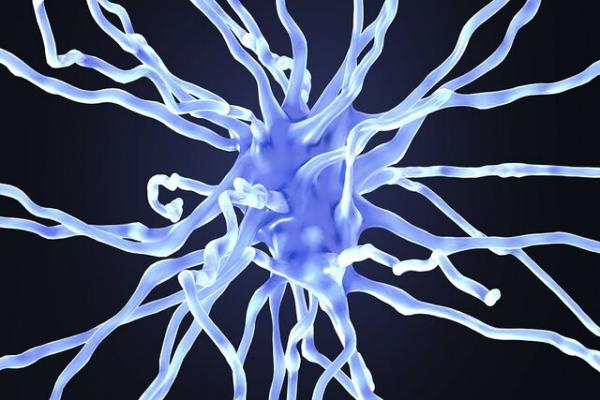 آلزایمر,دارویی برای توقف آلزایمر