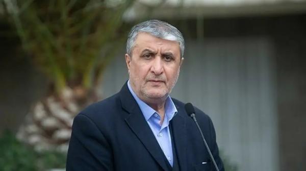 محمد اسلامی,رییس سازمان انرژی اتمی