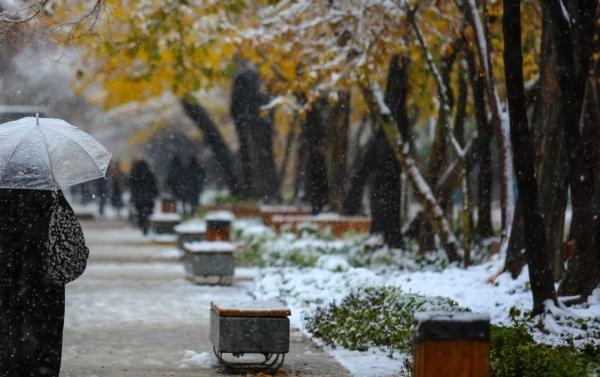 برف و باران در ایران,آخرین وضعیت آب و هوایی در دی 1404