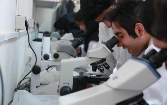 نخبگان,ریزش نخبگان در ایران