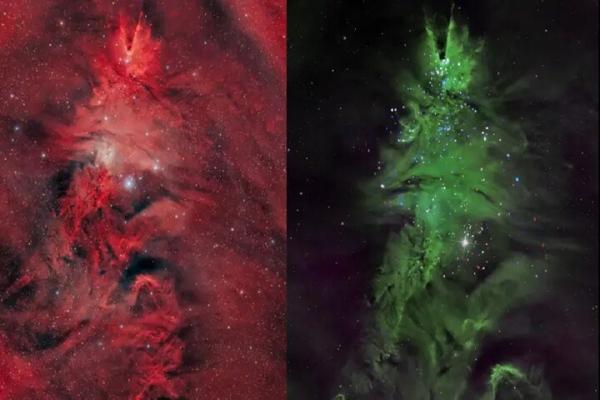 کریسمس در فضا,درخشش درخت کریسمس در دل فضا