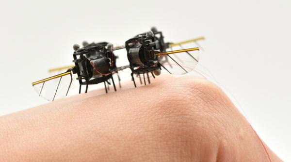 زنبور آهنی MIT,زنبور آهنی