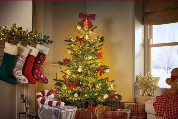 درخت کریسمس,تاریخچه و نمادهای درخت کریسمس