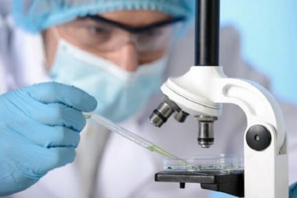 دستاوردهای پزشکی,۵ دستاورد برتر پزشکی در ۲۰۲۵