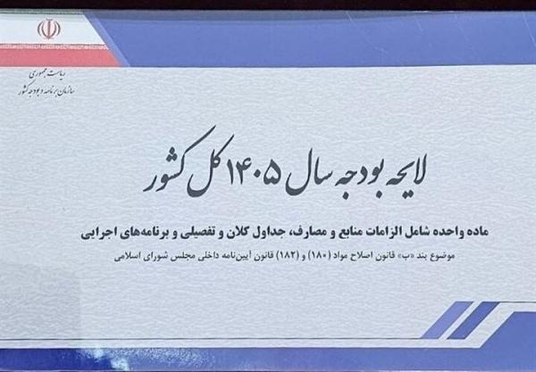 لایحه بودجه 1405,انتقاد روزنامه رئیس شورای اطلاع رسانی دولت از لایحه بودجه