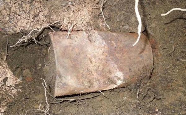 گنج بزرگ سکه‌های طلا,کشف گنج بزرگ سکه‌های طلا در آمریکا