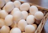 تخم مرغ,قیمت دانه ای تخم مرغ
