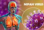 ویروس نیپا,شیوع نیپا در ایران