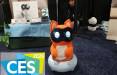 ربات,ربات‌های بامزه و پشمالوی ژاپنی در نمایشگاه CES 2026