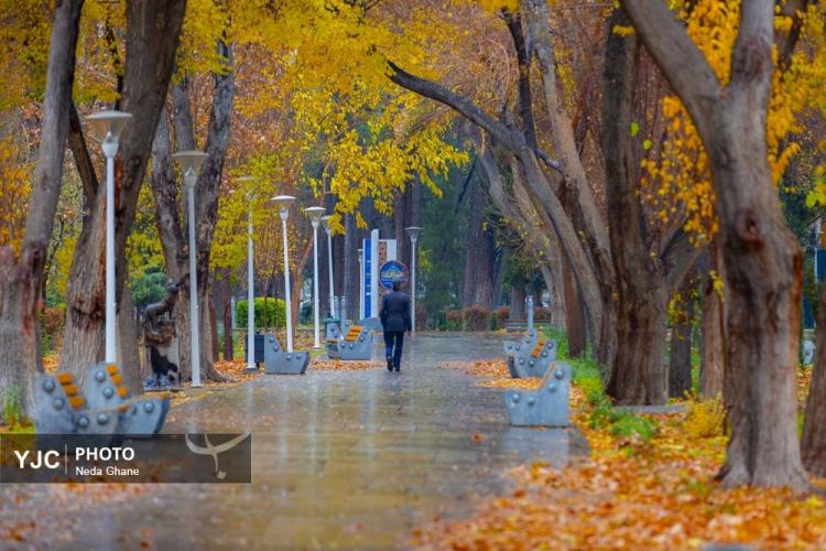 تصاویر هوای بارانی اصفهان,عکس های هوای بارانی اصفهان در دی 1404,تصاویری از بارش باران اصفهان در 7 دی 1404