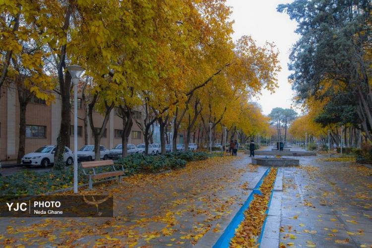 تصاویر هوای بارانی اصفهان,عکس های هوای بارانی اصفهان در دی 1404,تصاویری از بارش باران اصفهان در 7 دی 1404