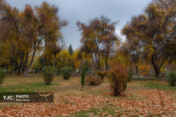 تصاویر هوای بارانی اصفهان,عکس های هوای بارانی اصفهان در دی 1404,تصاویری از بارش باران اصفهان در 7 دی 1404