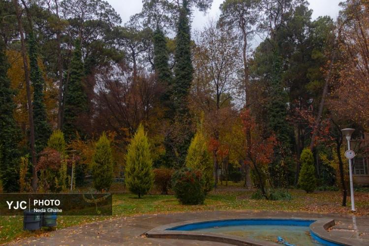 تصاویر هوای بارانی اصفهان,عکس های هوای بارانی اصفهان در دی 1404,تصاویری از بارش باران اصفهان در 7 دی 1404