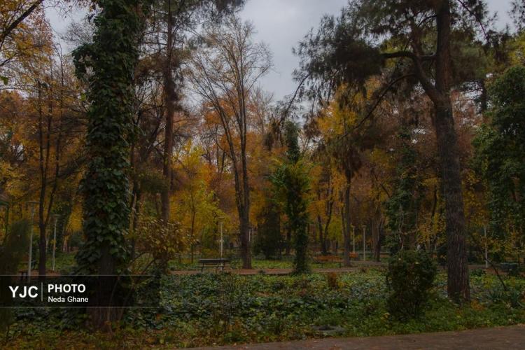 تصاویر هوای بارانی اصفهان,عکس های هوای بارانی اصفهان در دی 1404,تصاویری از بارش باران اصفهان در 7 دی 1404