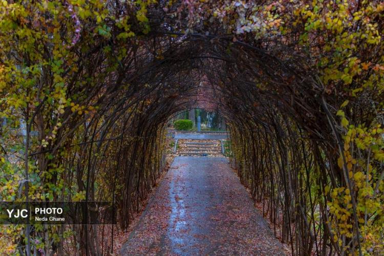 تصاویر هوای بارانی اصفهان,عکس های هوای بارانی اصفهان در دی 1404,تصاویری از بارش باران اصفهان در 7 دی 1404