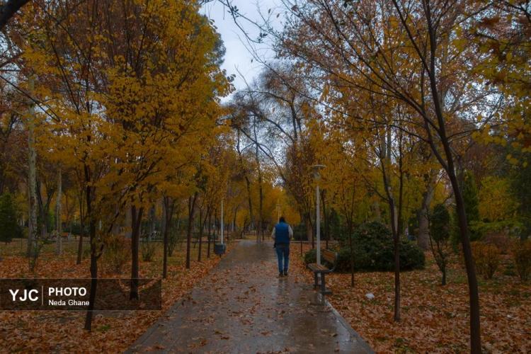 تصاویر هوای بارانی اصفهان,عکس های هوای بارانی اصفهان در دی 1404,تصاویری از بارش باران اصفهان در 7 دی 1404