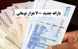 یارانه,یارانه 700 هزار تومانی