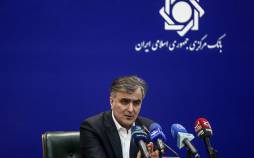 محمدرضا فرزین,رئیس سابق بانک مرکزی