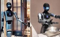 ربات‌های انسان‌نما,حضور ربات‌های انسان‌نما در هتل