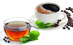 قهوه و چای,سلامت استخوان‌ها پس از یائسگی