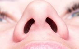 بینی,سوراخ بینی