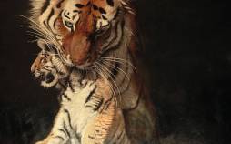 نقاشی‌های حیات وحش,زیباترین نقاشی‌های حیات وحش در سال ۲۰۲۵