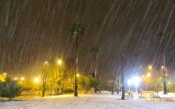 بارش برف و باران,آخرین وضعیت آب و هوایی در 11 دی 1404