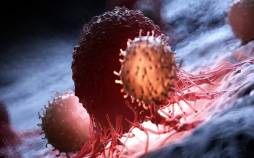 پروتئین,پروتئین برای کند کردن رشد سرطان